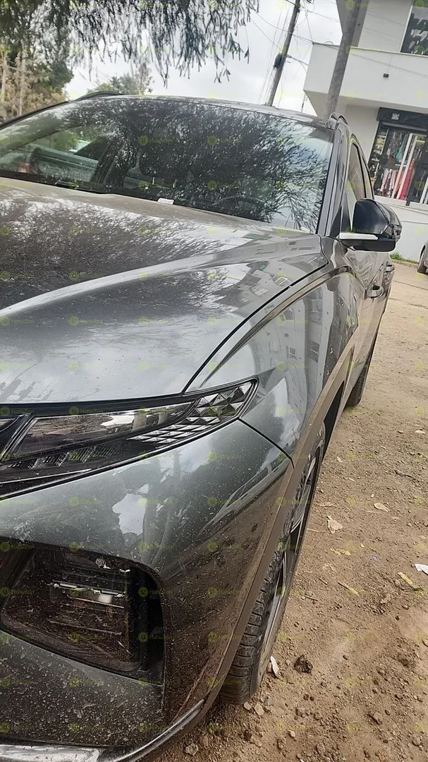 2021 Model-Hyundai Tucson