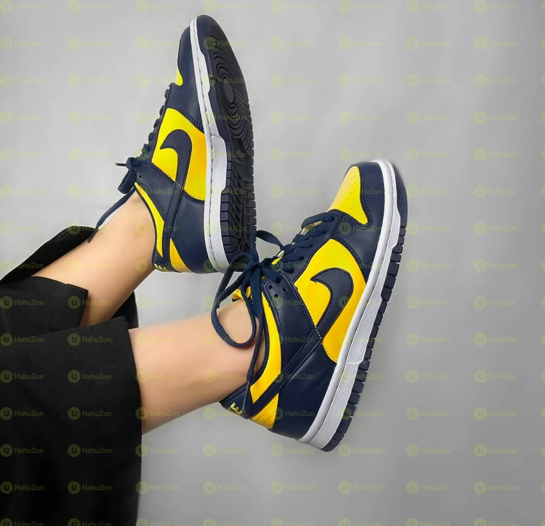Neike Dunk Michigan Women's Shoes