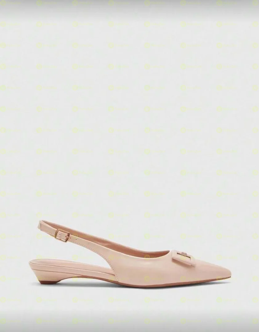 Pointy Toe Sling Back Flat