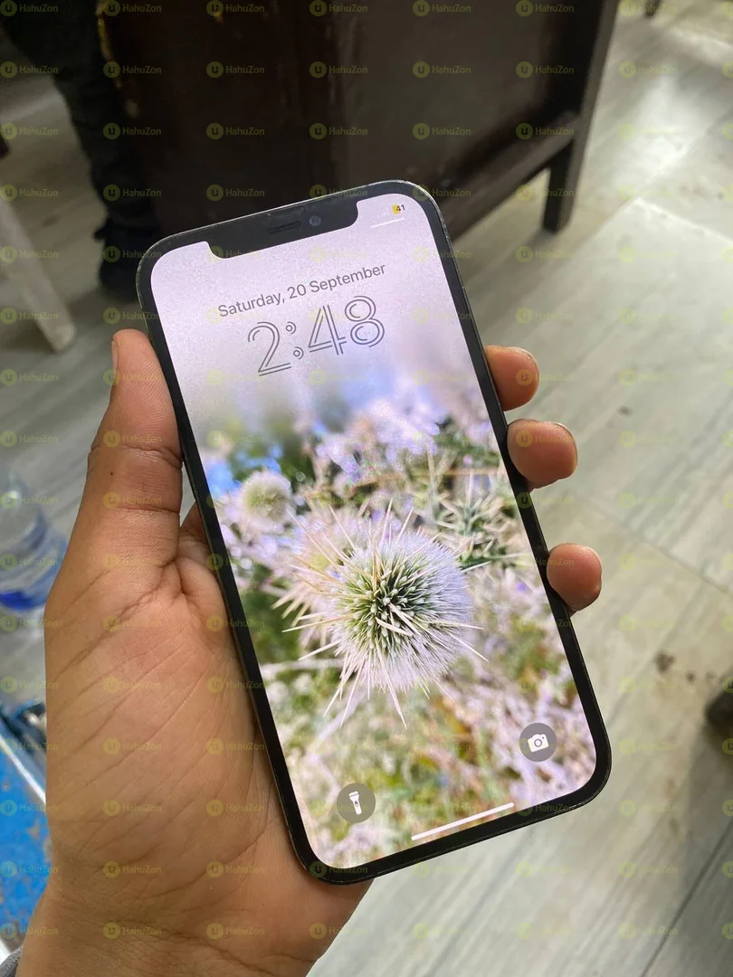 Apple Iphone 12 Pro Max