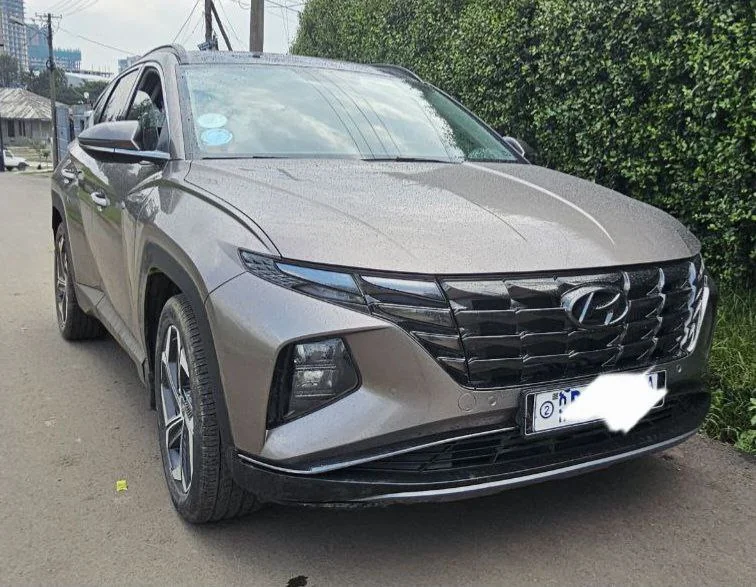 2022 Model-Hyundai Tucson