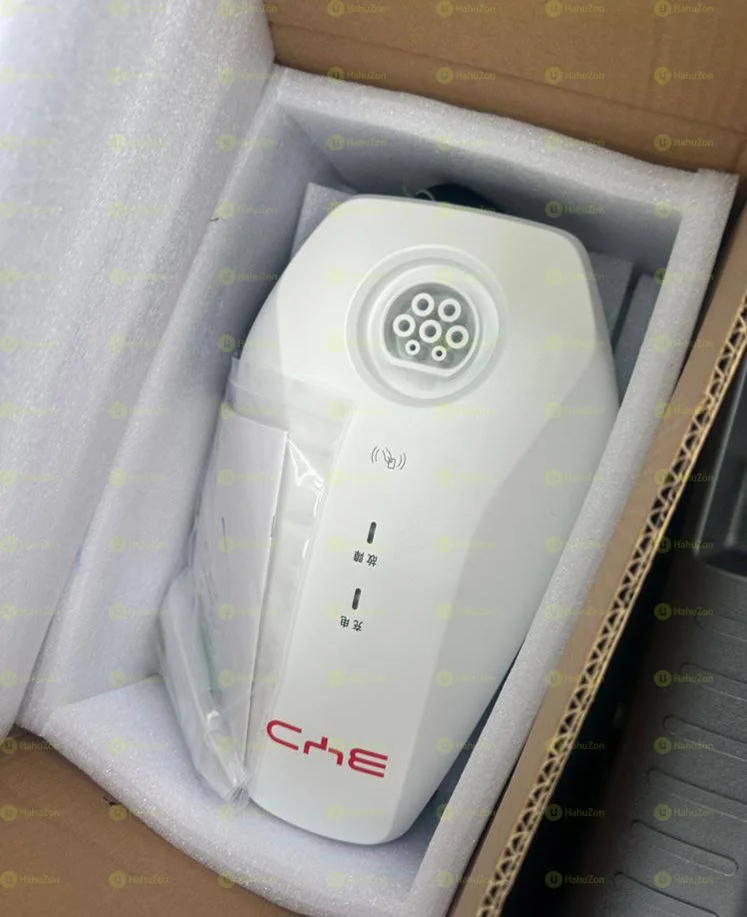 2024 Model-BYD Seagull