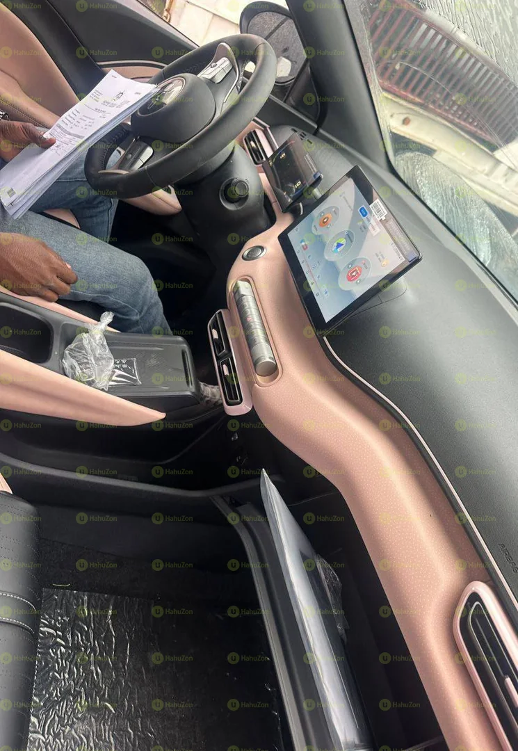 2024 Model-BYD Seagull