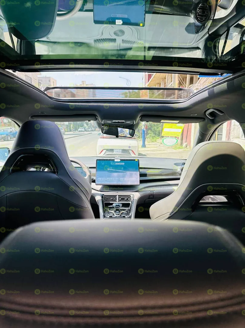 2024 Model-BYD Seagull