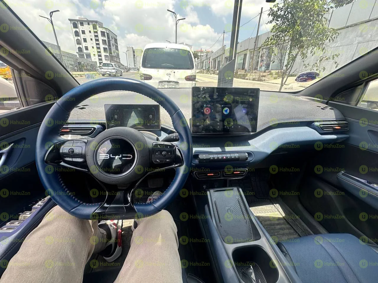 2024 Model-BYD Seagull