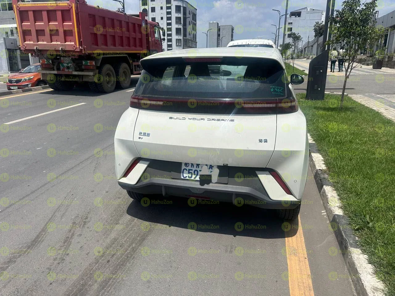 2024 Model-BYD Seagull