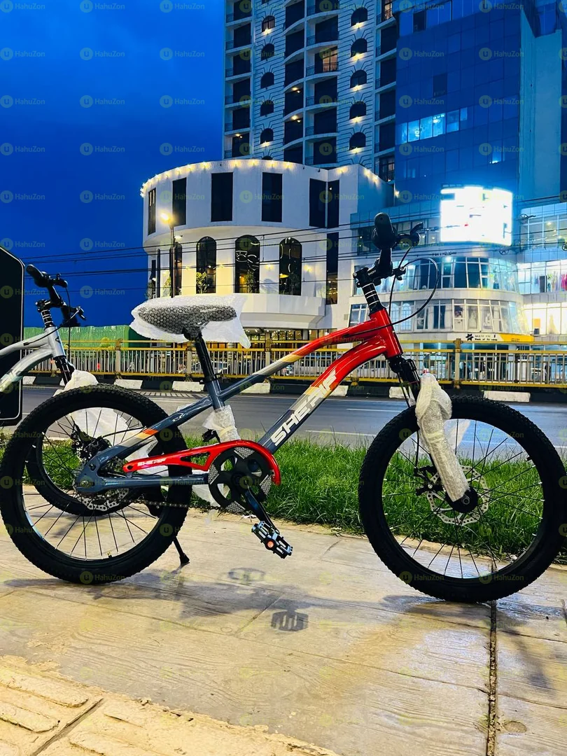 T Model Road 20 Inches Bicycle