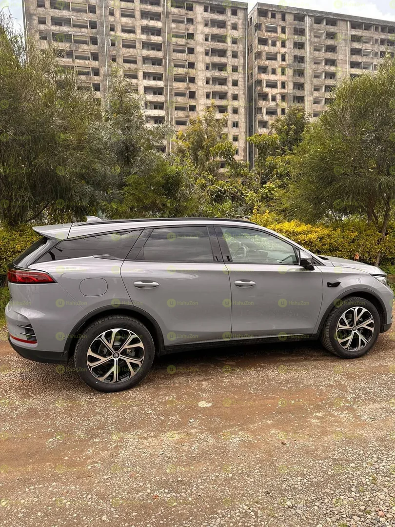 2025 Model-BYD Tang DM-I