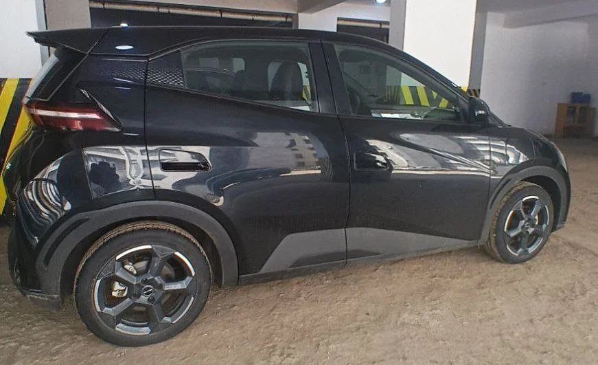 2024 Model-BYD Seagull