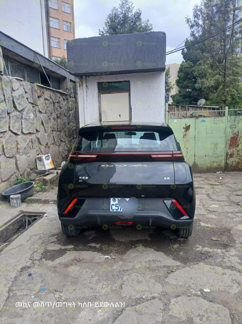 2023 Model-BYD Seagull