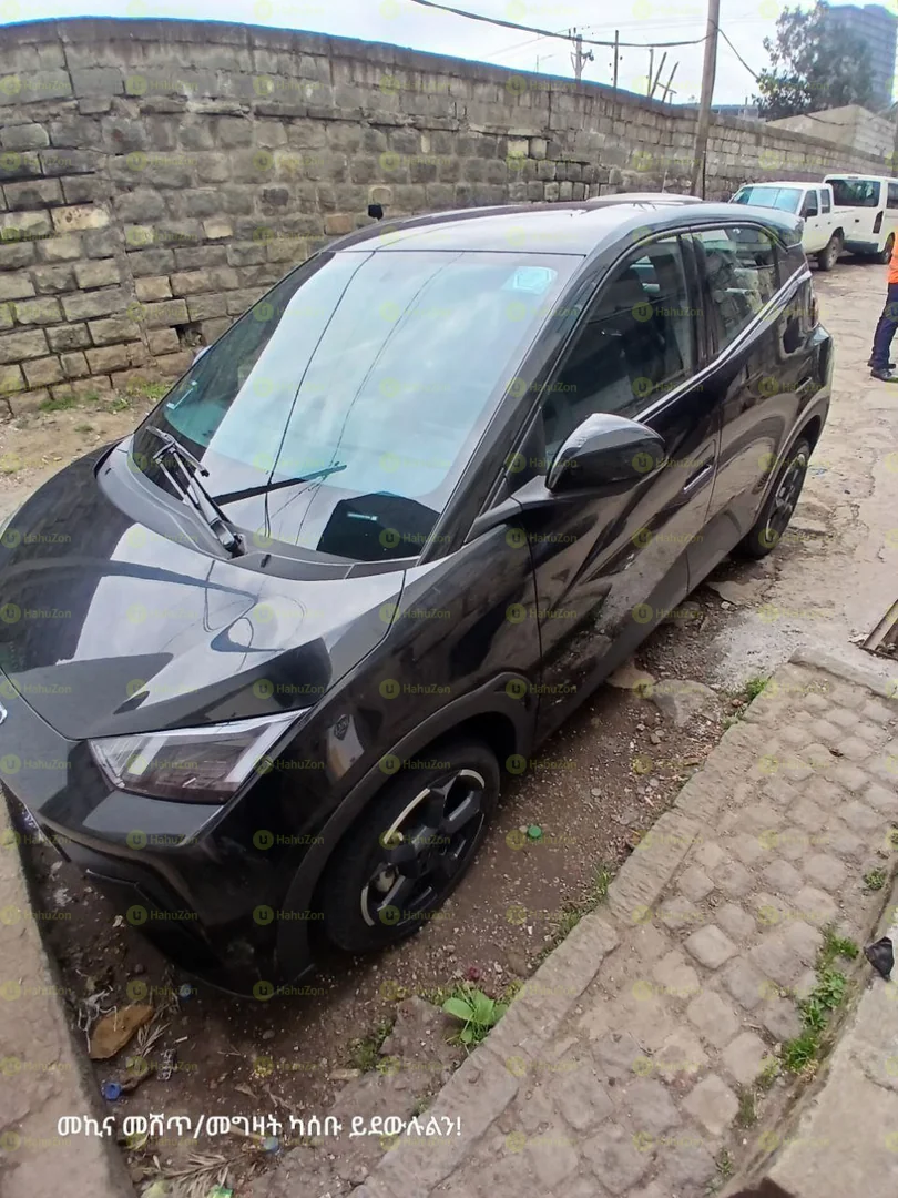 2023 Model-BYD Seagull