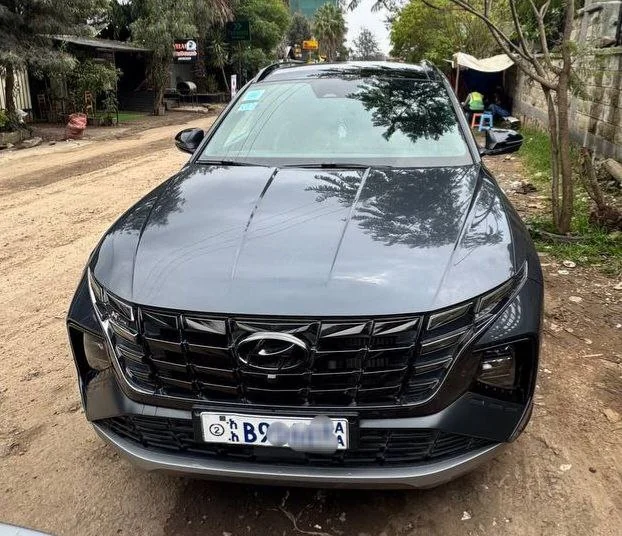 2022 Model-Hyundai Tucson N line