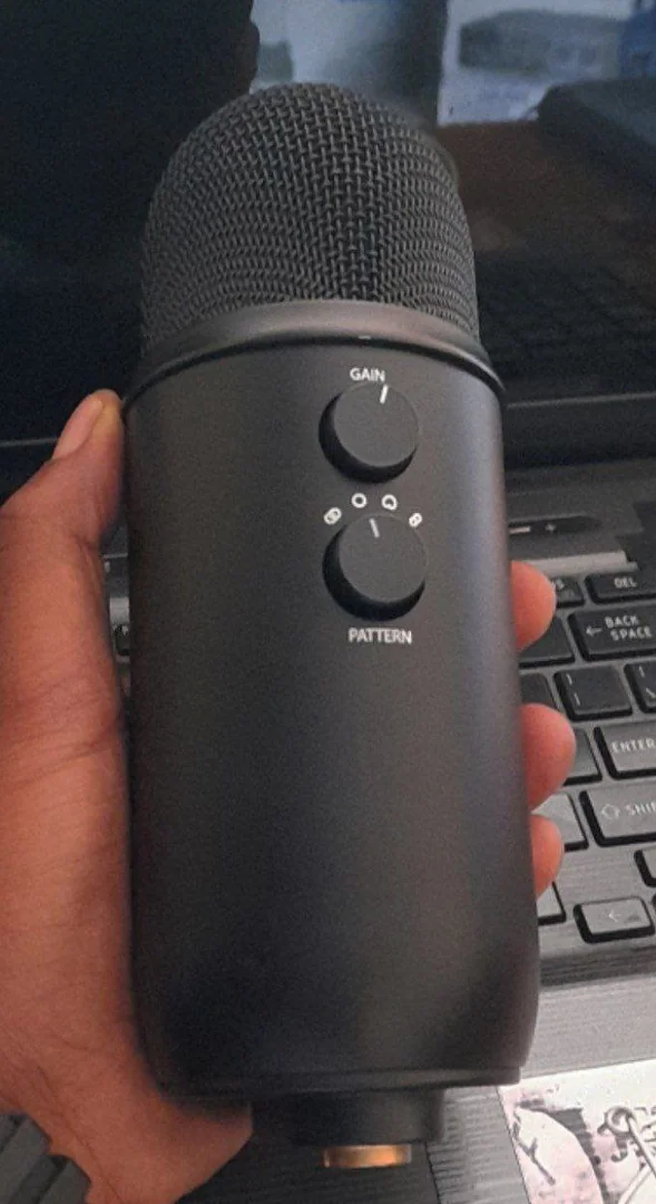 Blue Original Professional Condensor Microphone