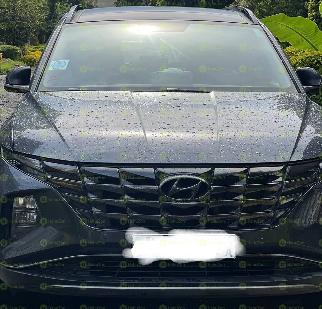 2022 Model-Hyundai Tucson