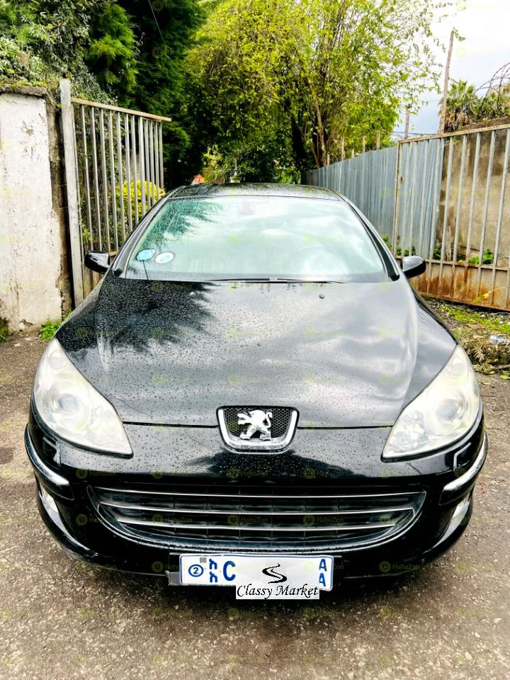 2007 Model-Peugeot 407