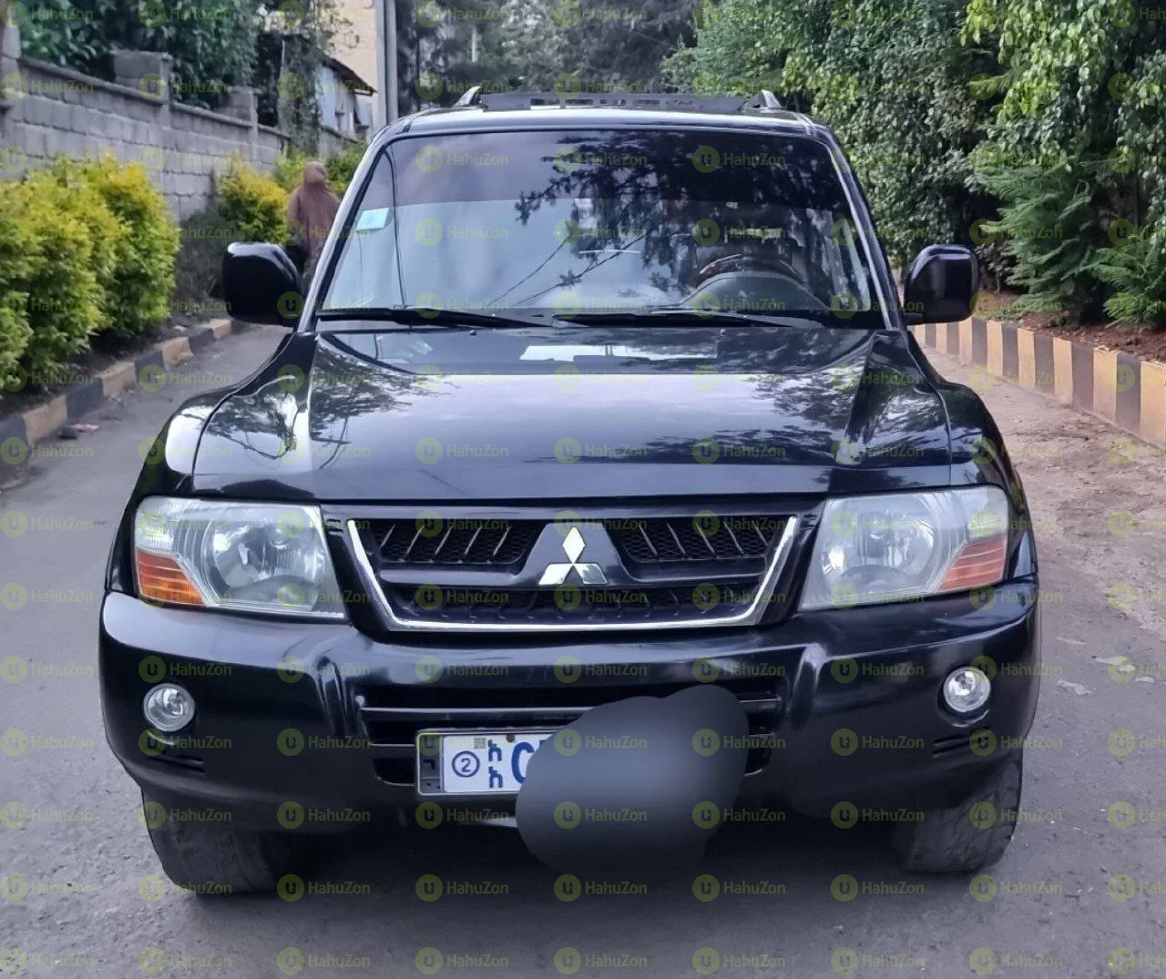 2005 Model-Mitsubishi Pajaro