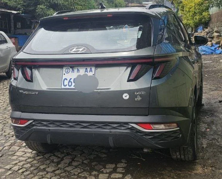 2022 Model-Hyundai Tucson
