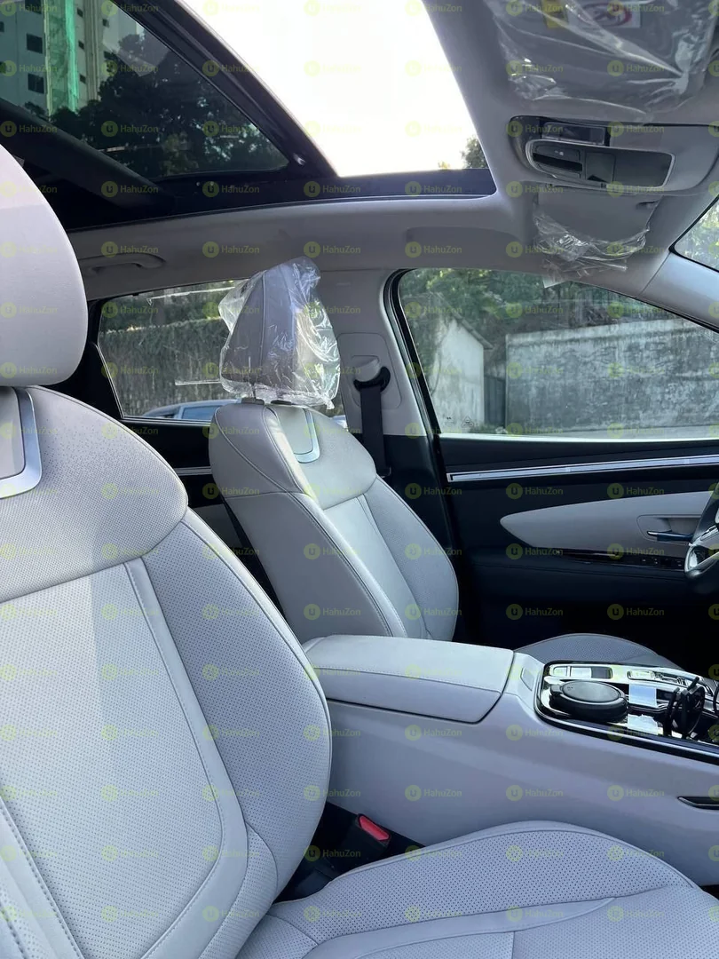 2022 Model-Hyundai Tucson