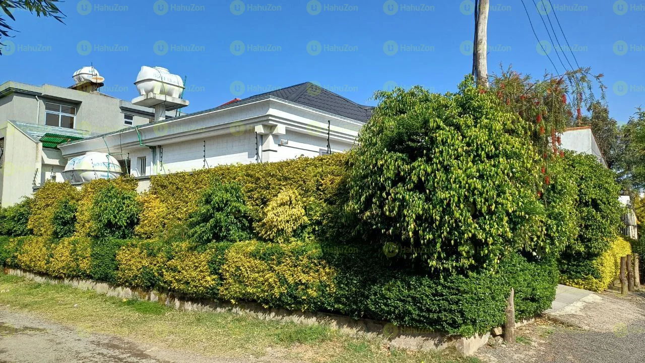 250 የሚሸጥ ዘመናዊ ቪላ ቤት በካራ