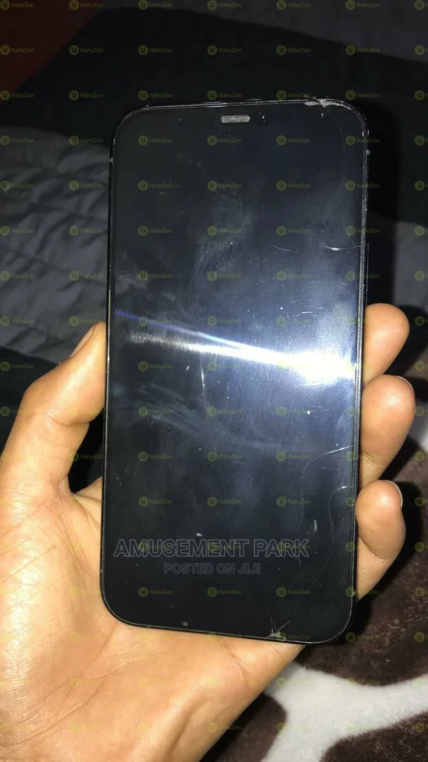 Apple Iphone 12 Pro Max