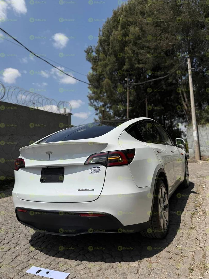 2023 Model-Tesla-Y