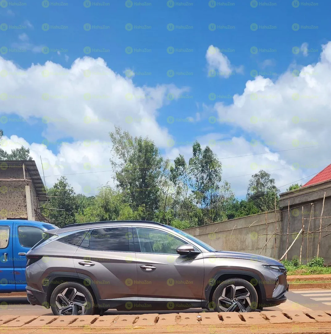 2022 Model-Hyundai Tucson