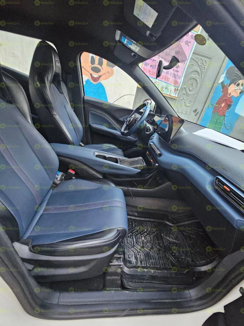 2024 Model-BYD Seagull