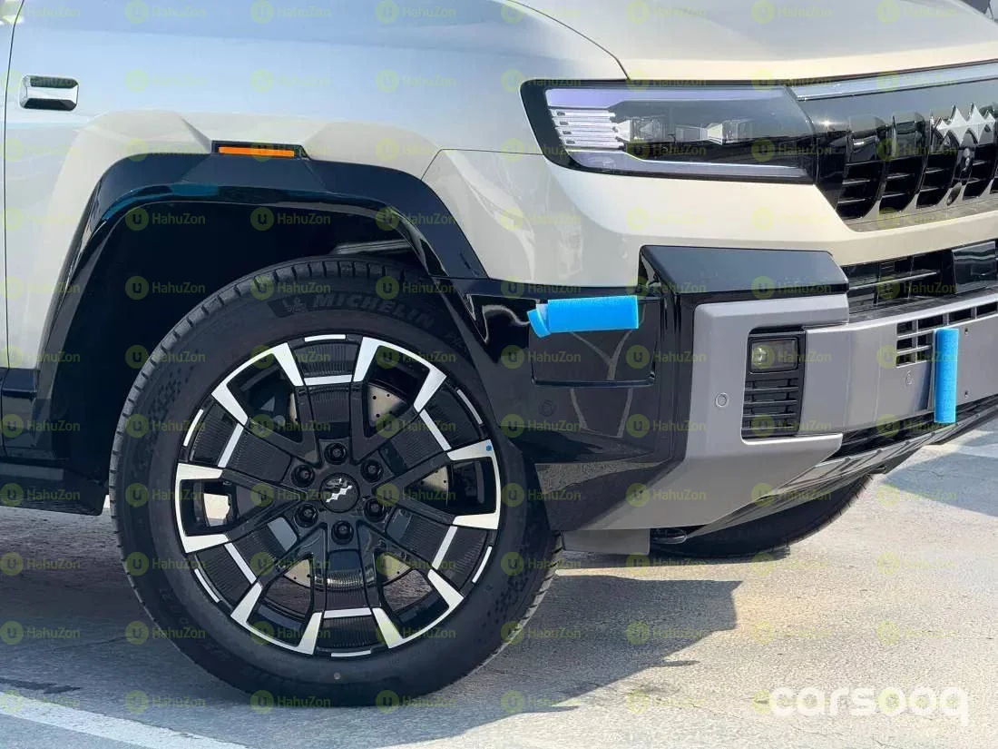 20225 Model-BYD Leopard 8