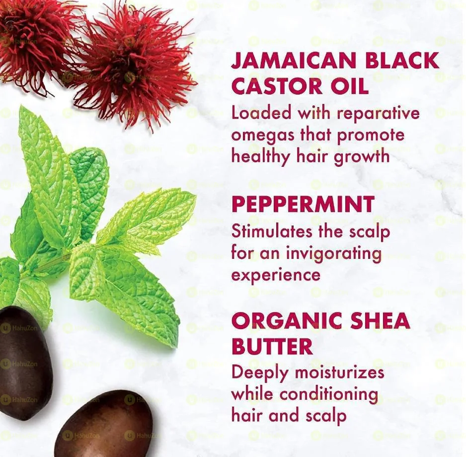 Shea Moisture Strengthen Jamaican Black Castor Oil Set Shampoo and Conditioner