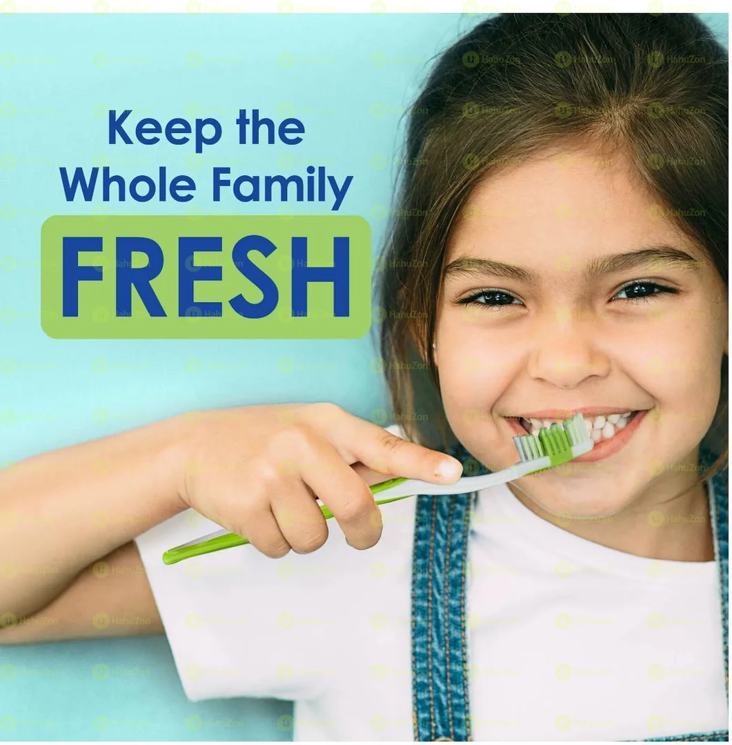 DR Fresh Toothbrushs 6 Count