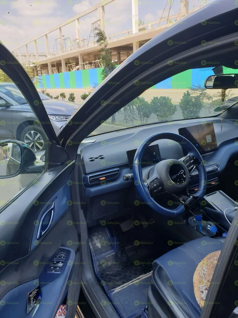 2024 Model-BYD Seagull