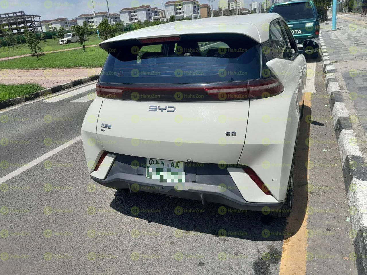 2025 Model-Byd Seagull