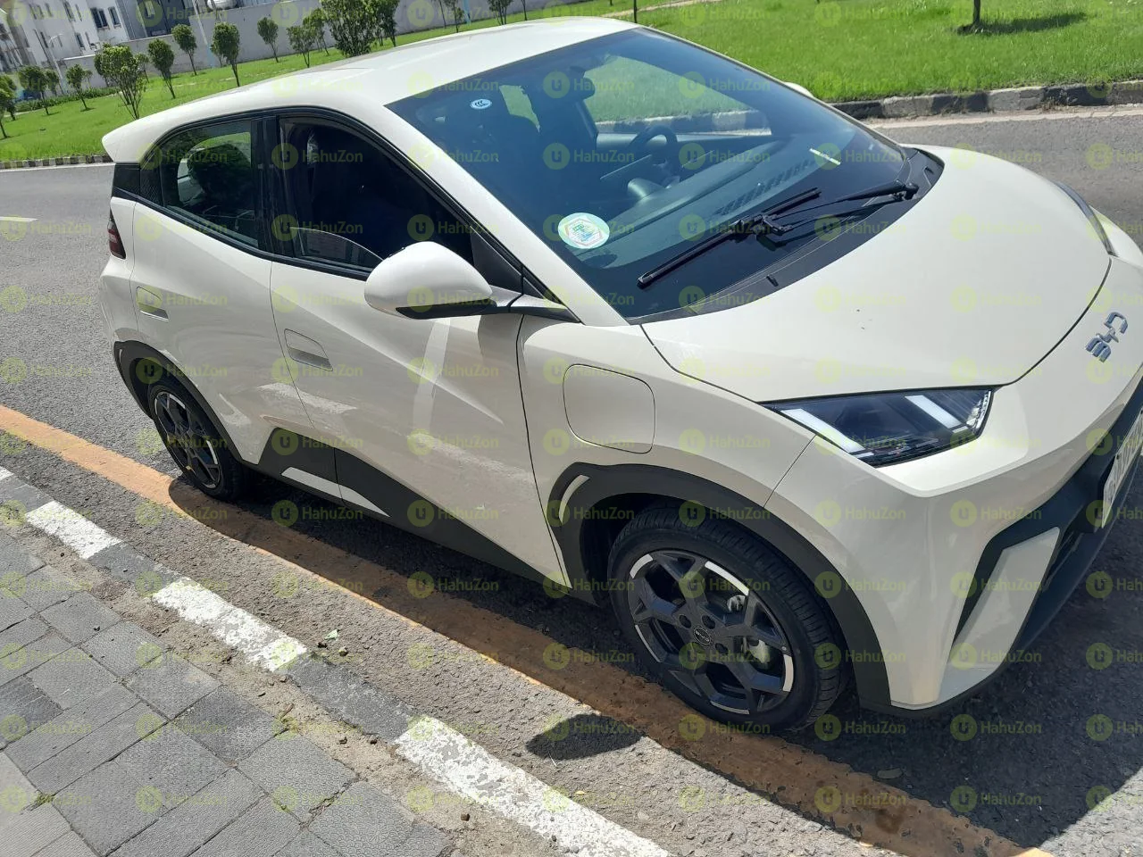 2025 Model-Byd Seagull