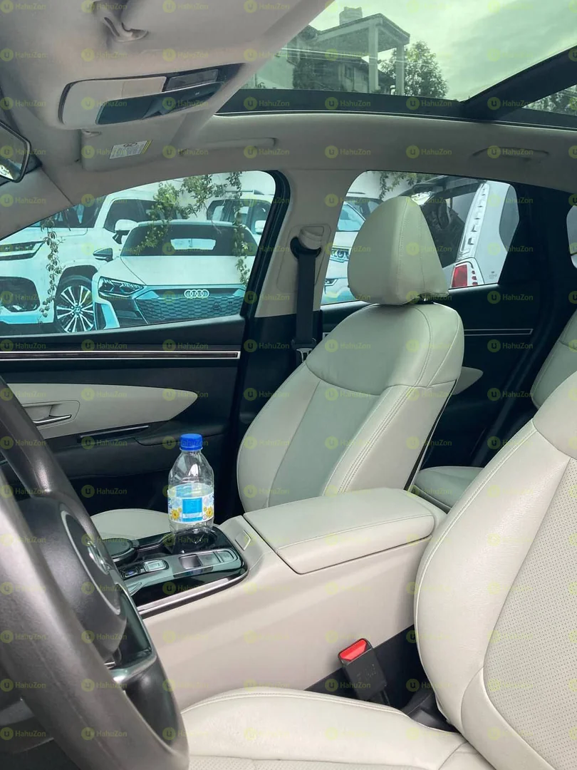 2022 Model-Hyundai Tucson