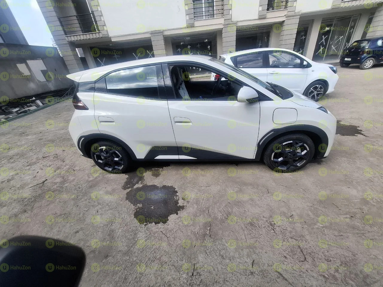 2025 Model-BYD Seagull