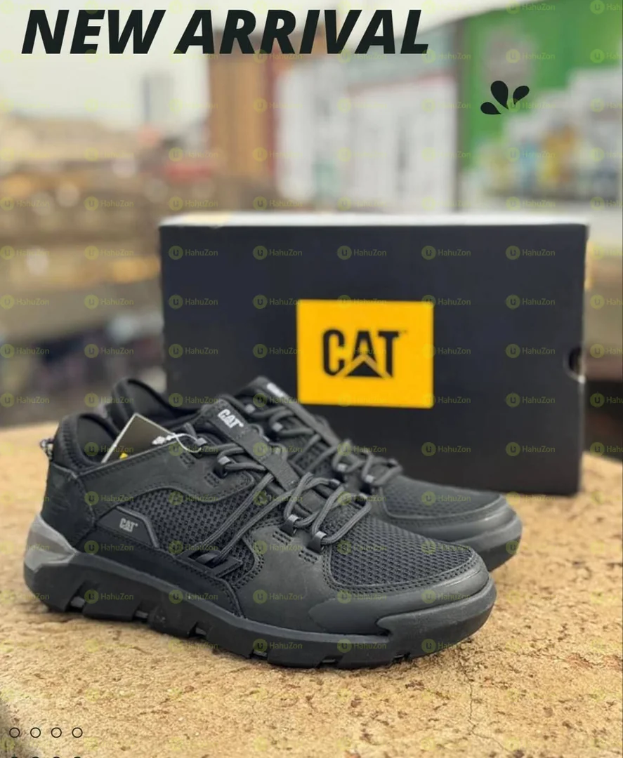 Cat Men's Shoes