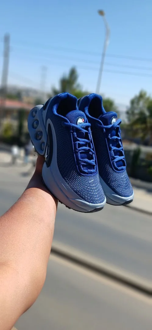 Nike Air Dn Max Men's Shoes