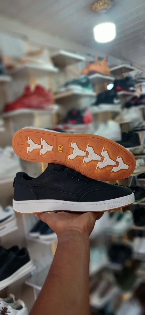 Cat Men's Shoes