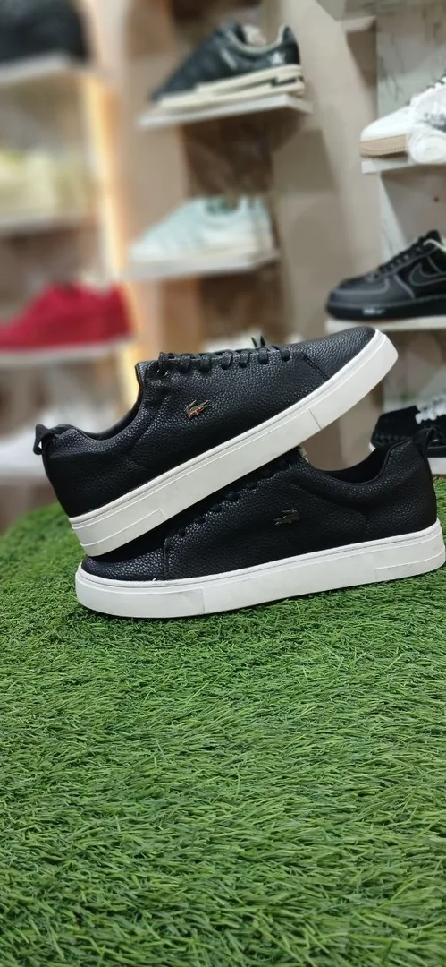 Lacoste Men's Shoes