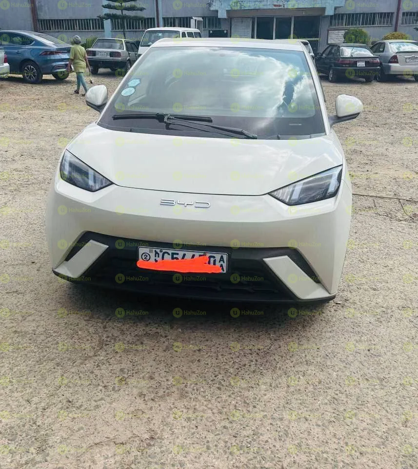 2024 Model- BYD Seagull