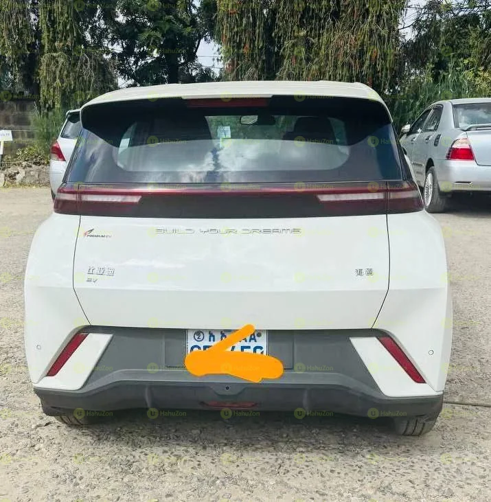 2024 Model- BYD Seagull