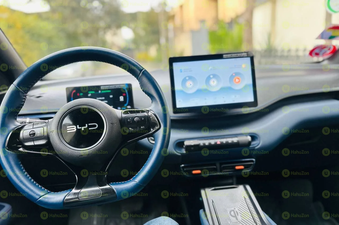 2024 Model- BYD Seagull