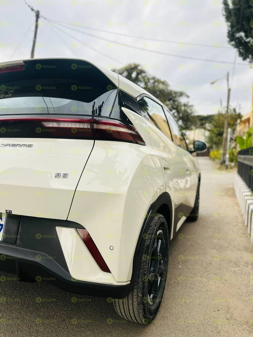 2024 Model- BYD Seagull