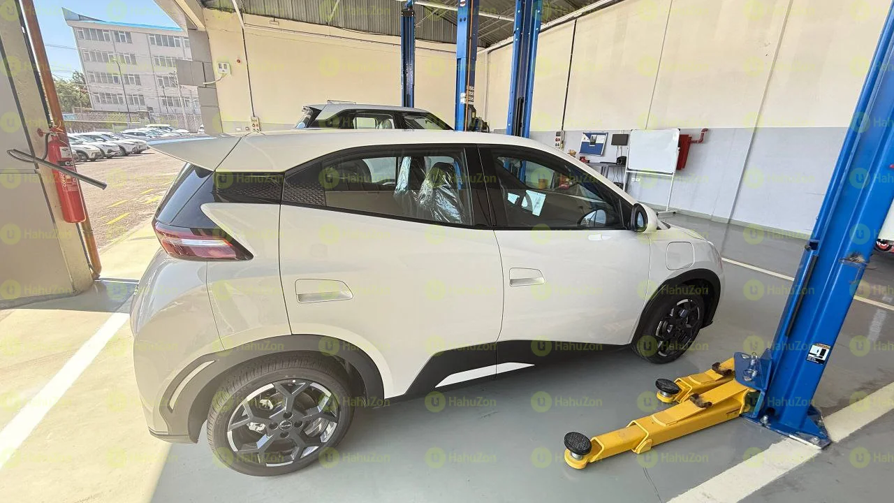 2025 Model- BYD Seagull