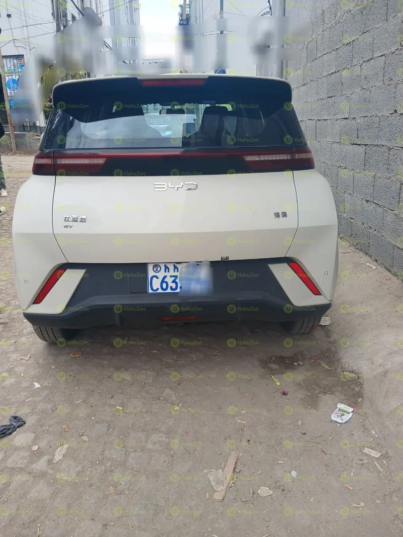 2025 Model-BYD Seagull