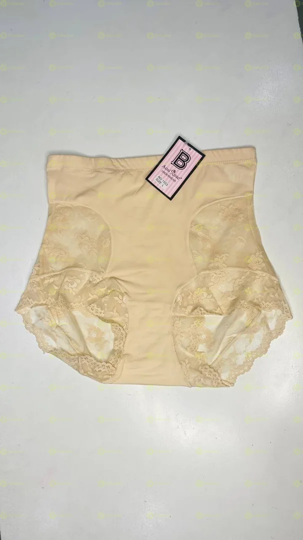 High Waste Lace Underwear
