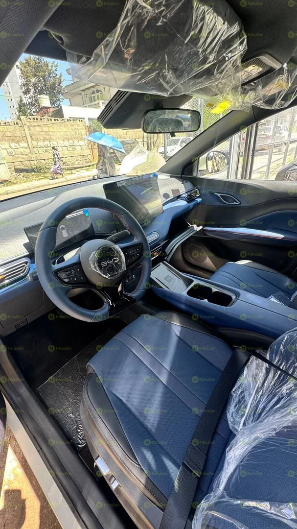 2025 Model-BYD Seagull