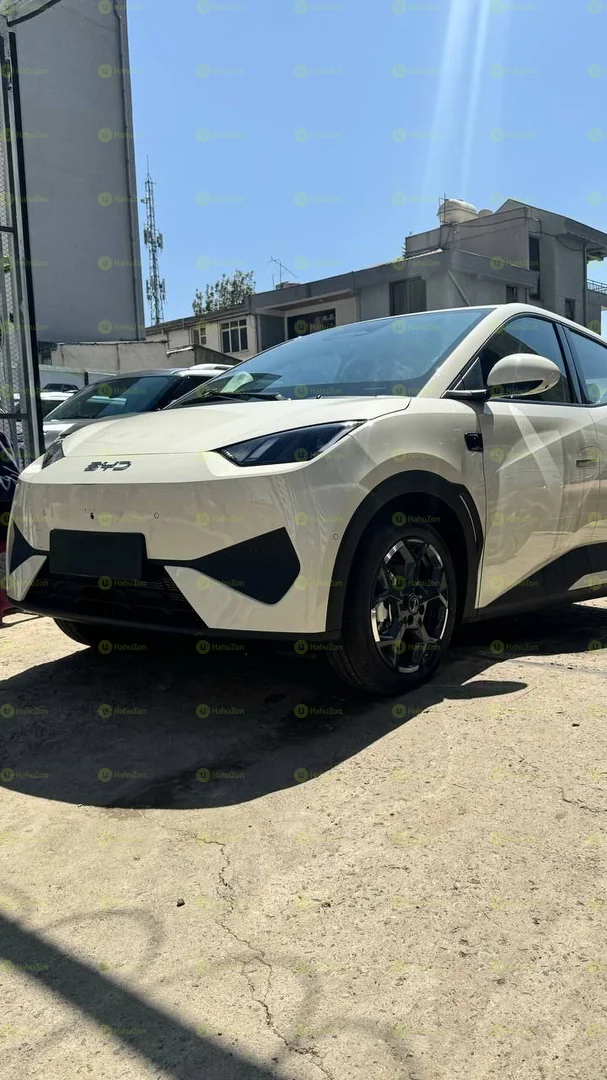 2025 Model-BYD Seagull