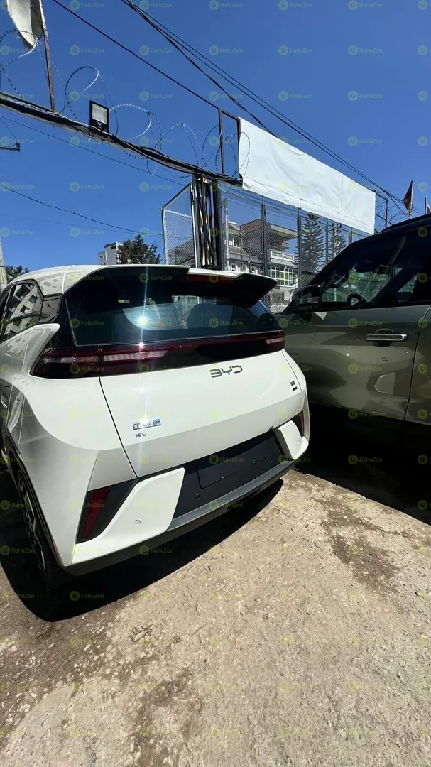 2025 Model-BYD Seagull