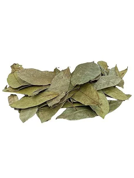 Soursop Tea Leaves